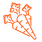 Carrot icon
