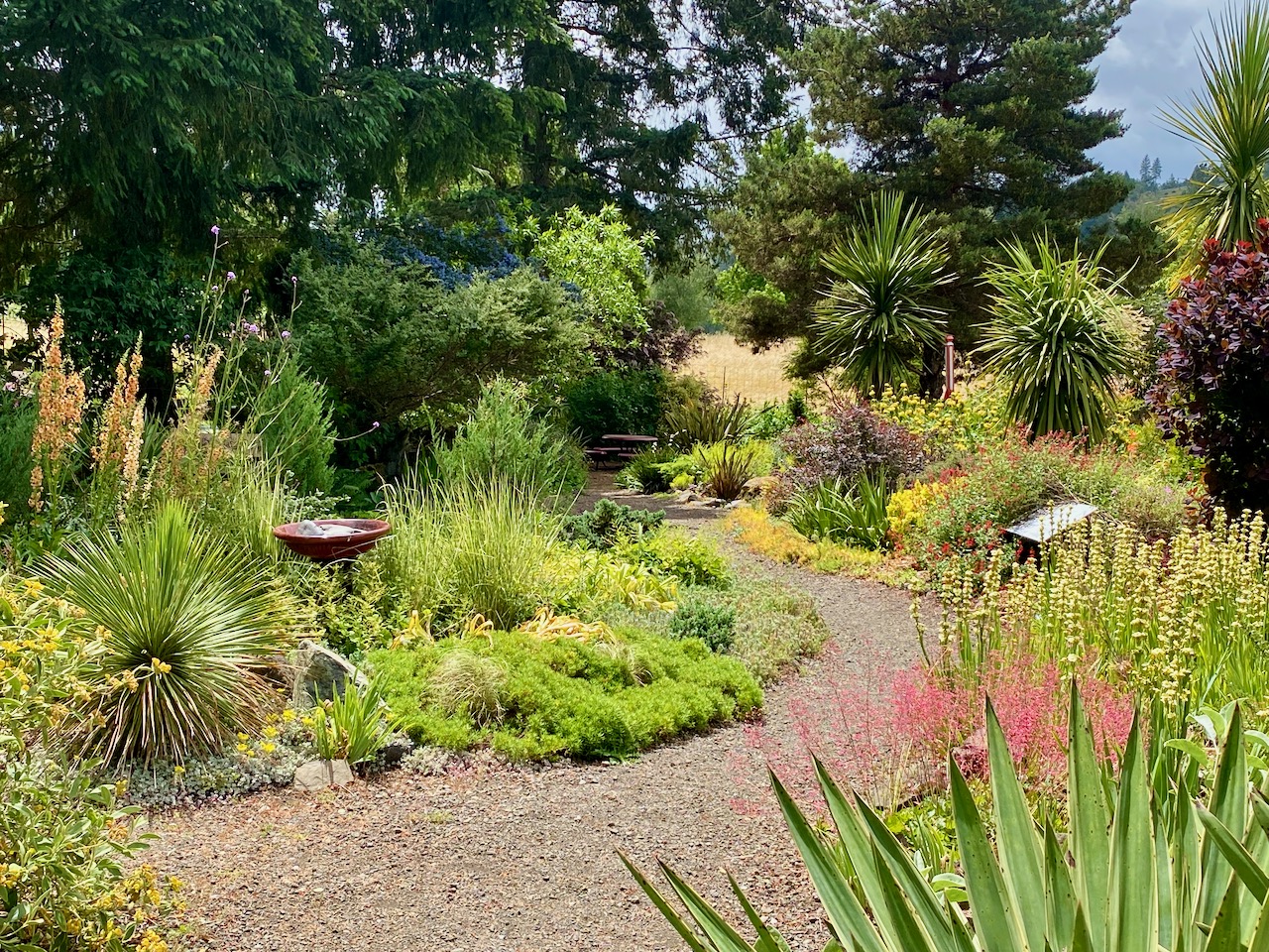 The Xeriscape Garden, upper area, in Spring 2024, photo by Geoff Puryear