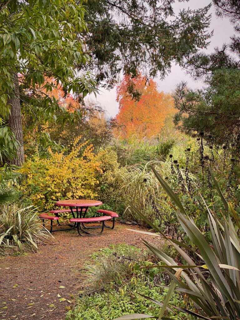 The lower Xeriscape Garden in the fall, photo by Geoff Puryear