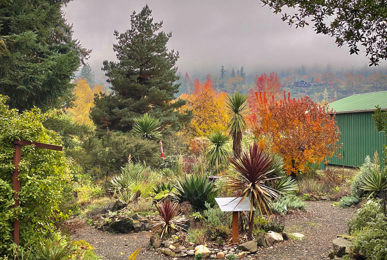 The upper Xeriscape Garden in fall, photo by Geoff Puryear
