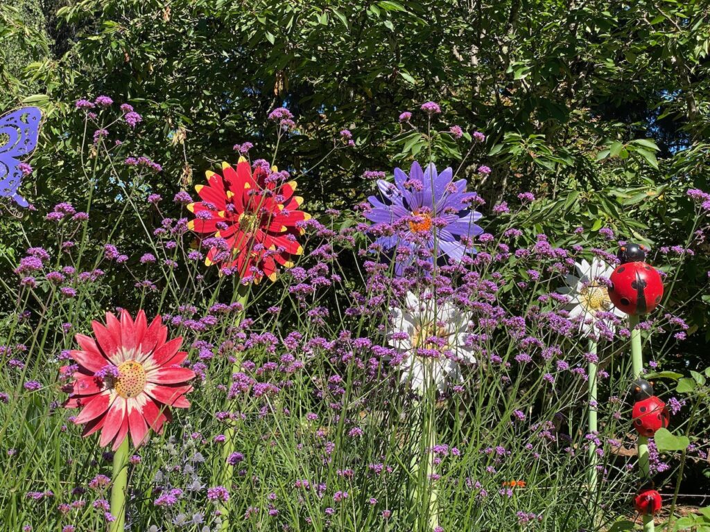 Verbena bonariensis with large metal flower sculptures in the Children's Garden at the Discovery Garden, photo by Geoff Puryear