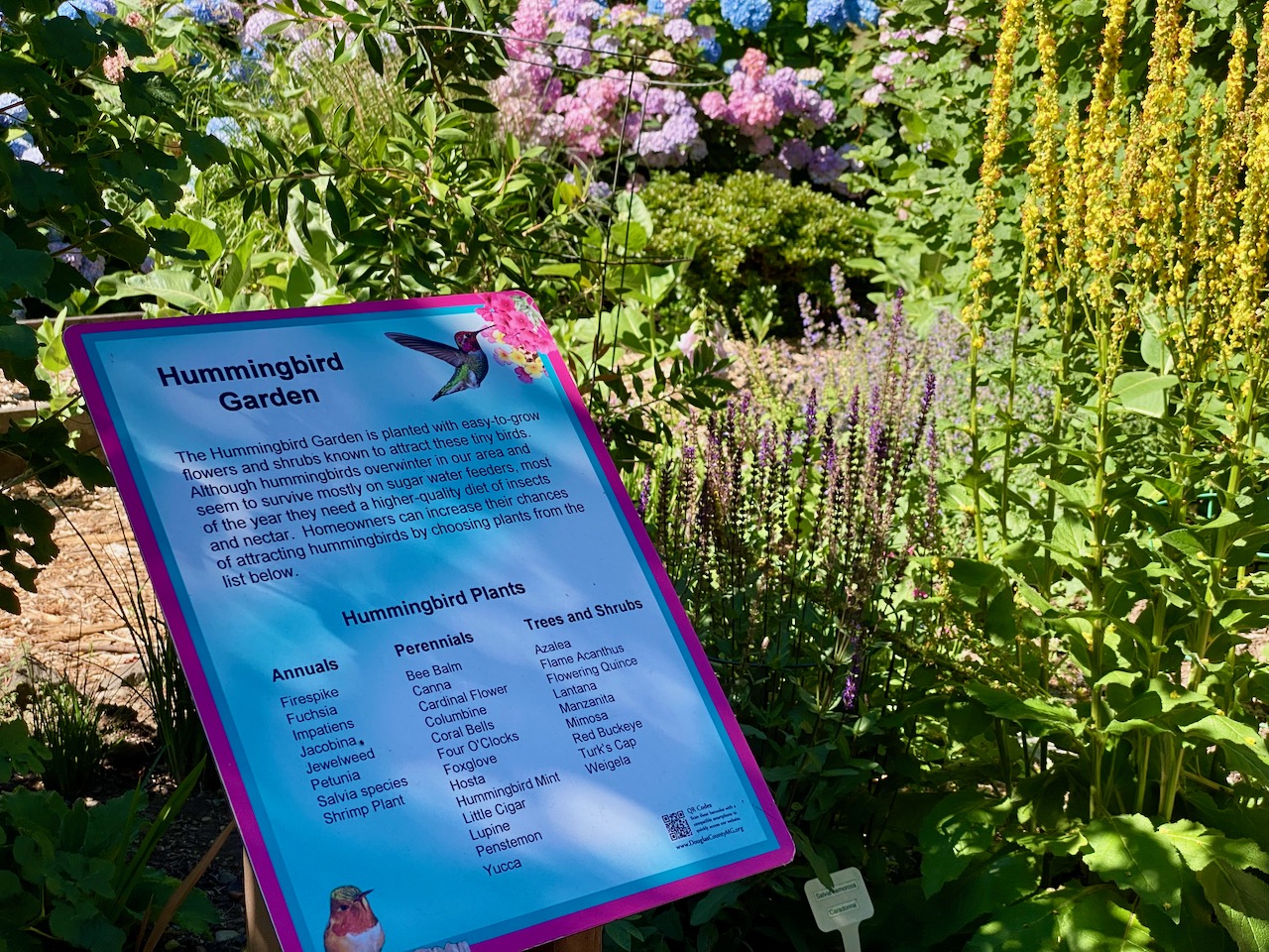 Hummingbird Garden sign in the Discovery Garden, photo by Geoff Puryear