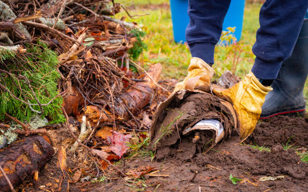 Ask A Master Gardener – Hugelkultur